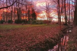 FSW Finanzservice Wolf