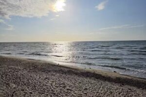 FYNNUS – Dein Lieblingsplatz auf Rügen