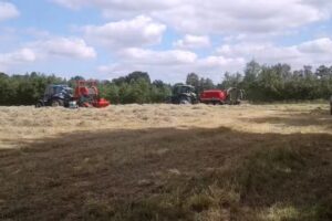 Gaestehaus-Rothe-Zeithome