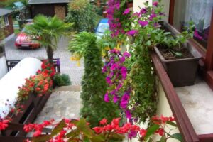 Gästezimmer Andreas Rothermel