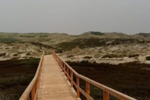 GB Sylt – Ihre Agentur für Ferienwohnungen auf Sylt