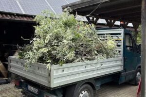 Gebäudedienstleistungen Hindringer