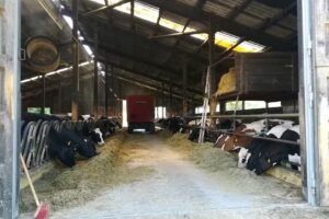 Gebhardshof Wallhausen