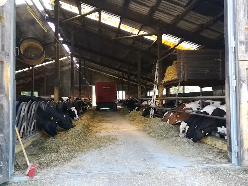 Gebhardshof Wallhausen