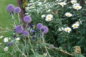 Gemütliches Ferienhaus Moormerland