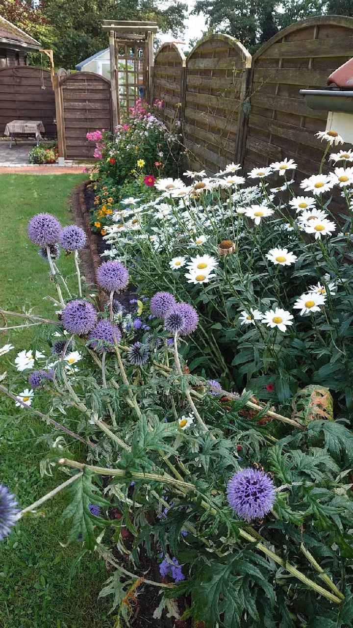 Gemütliches Ferienhaus Moormerland