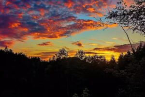 Gersbacher Hörnle Berggasthaus und Naturfreundehaus
