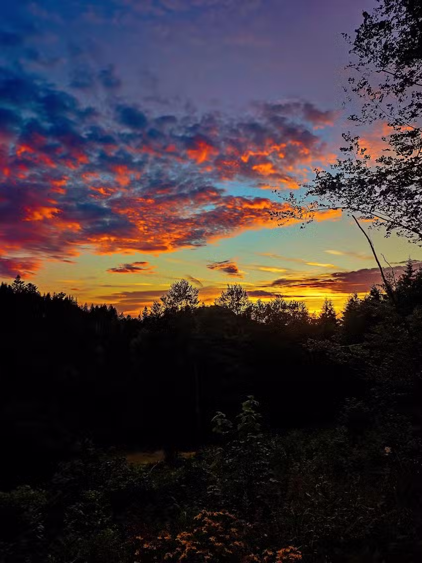 Gersbacher Hörnle Berggasthaus und Naturfreundehaus