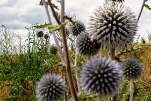 Gewerbepark Am Sender GmbH