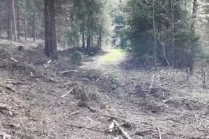 Gewerbepark Zwönitztal