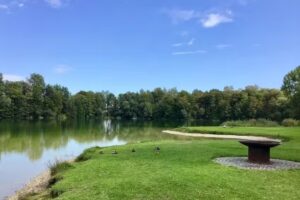 Global Objekt Invest GmbH