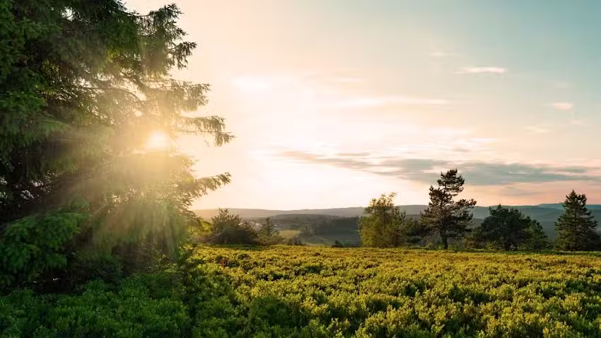 GoodSauerlandService