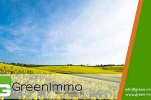 GreenImmo – Immobilienbüro Beate Geiling