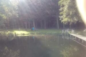 Gruge – Immobilien