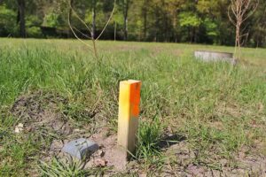 Grundstücks- und Entwicklungsgesellschaft Südheide GmbH & Co. KG