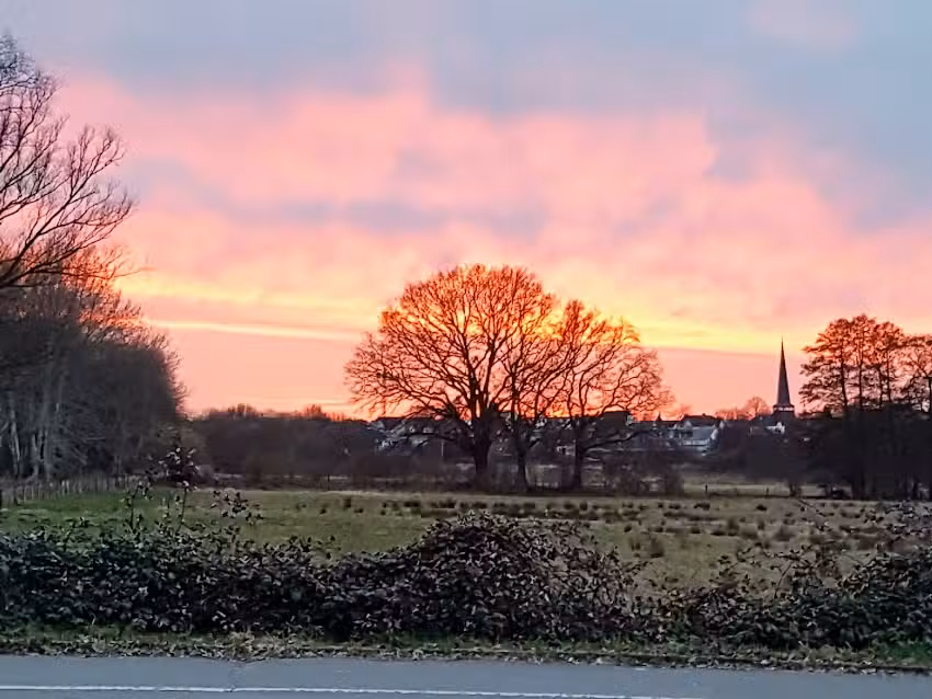 Grundstücksverwaltung W. Johannes Wentzel