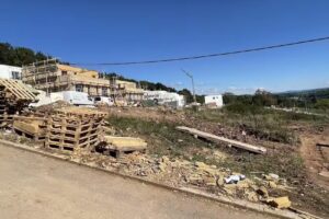 Grünes Leben am Schafhaus