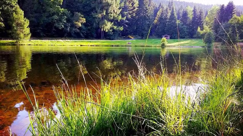 Gunar Koschinsky Finanzdienstlesitungen & Immobilien