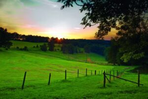 Gut Ahe, Landgasthof | Café | Event