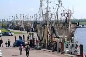 GW Gästeservice Wattenmeer