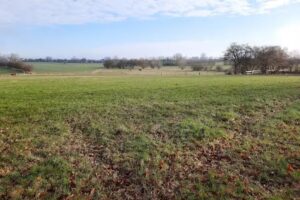 Hannelore Jürgensen