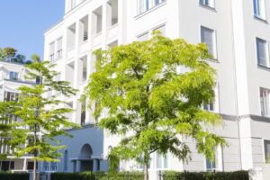 Hanseatische Immobilienverwaltung GmbH