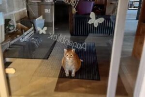 Haus Haldenhof – Ferienwohnungen & Gewölbekeller