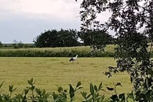 Haus in der Marsch, vormals Haus Anni