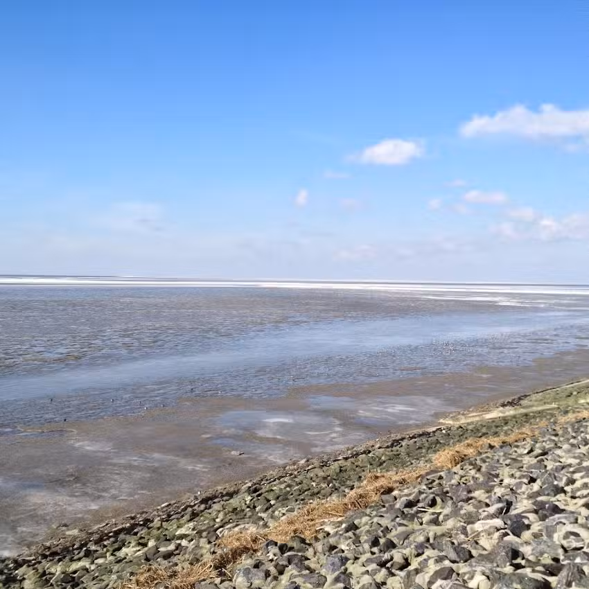 Haus Möwenschrei Ferienwohnungen in Büsum