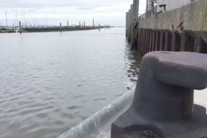 HAUS NORDMEER – DIE KRABBE