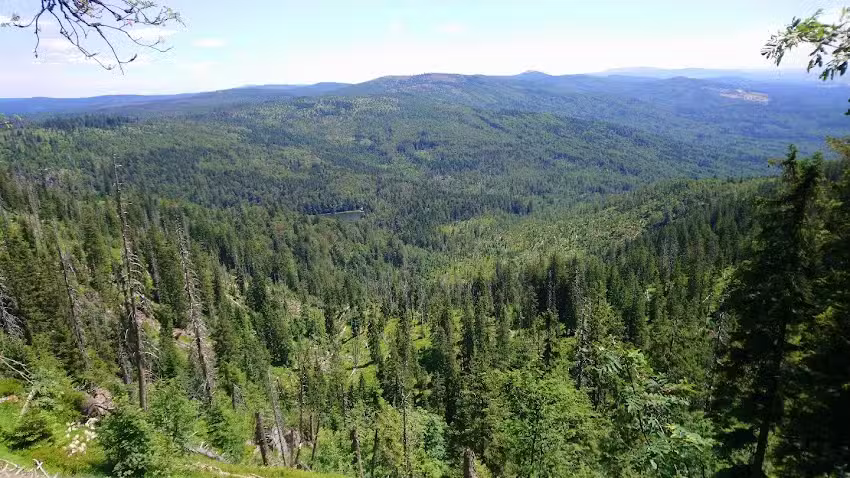 Haus WaldNest | Bayerischer Wald