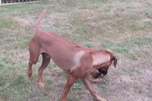 HBF Bauverwaltung GmbH