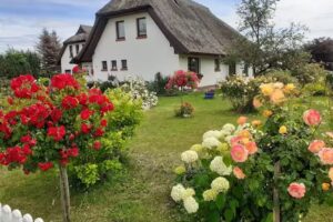 Heinz von Heiden-Musterhaus Berlin Köpenick – Wir bauen Ihr Massivhaus.