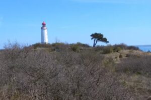 Hiddenseeservice Inh. H. Lotz