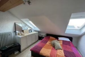 Hiller Immobilien Verkauf und Vermietung Baden-Baden