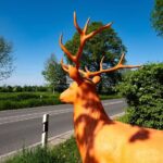 Hirschmann Immobilien GmbH