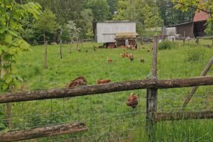 Hof Gaudig Jörn & Kathrin Gaudig