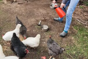 Hof TheoDoor | Kirsten Feuerlein