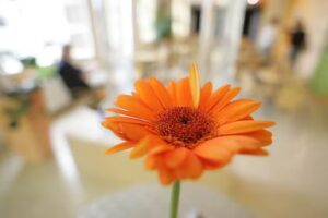 HomeCompany Oldenburg Poppe & Reinecke GbR