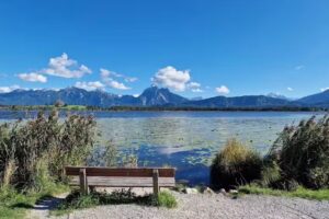 HomeConcept Füssen – Immobilien und Homestaging