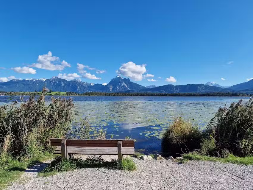HomeConcept Füssen – Immobilien und Homestaging