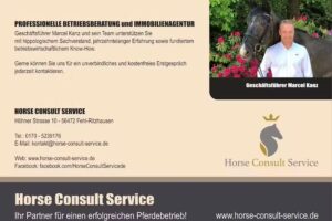 Horse Consult Service