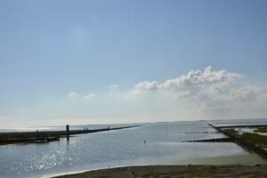 Hundeurlaub und Nordsee.de Petra Sattelberg