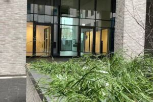 IGG – Immobilien. Ganzheitlich. Gedacht.