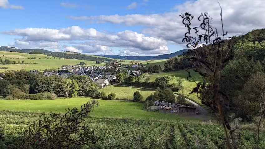 Ihre Traumvilla | Villa Bödefeld