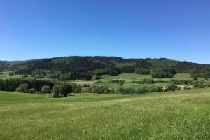 Immo Regio Haus- und Mietverwaltung