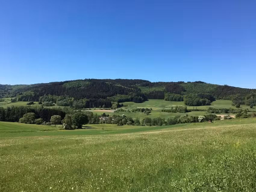 Immo Regio Haus- und Mietverwaltung