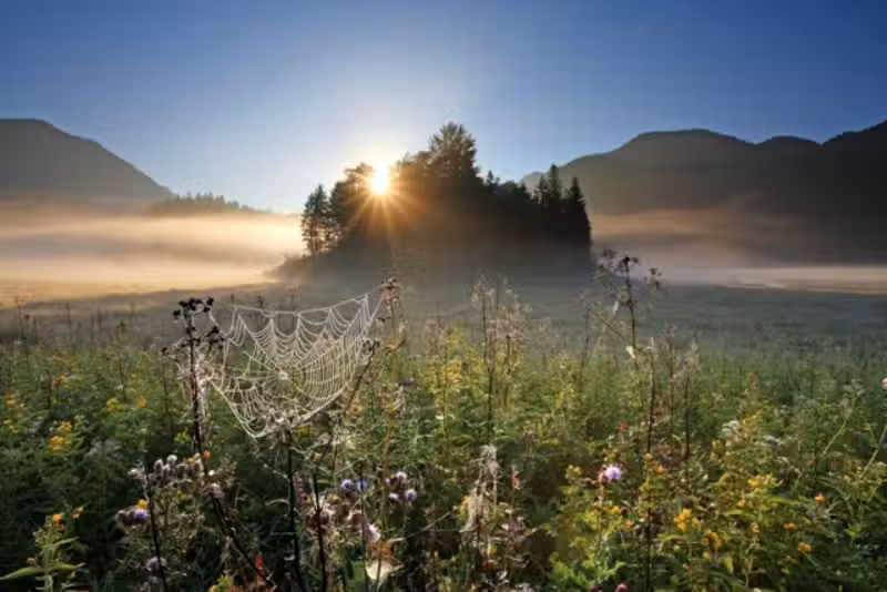 Immobilien Bauhofer – Landhaus Bauhofer/Ferienwohnungen