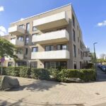 IMMOBILIEN BUCHHOLZ