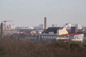 Immobilien-Center Daffner